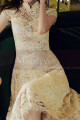 Beautiful short dress for ceremony in champagne-colored lace with short sleeves - Ref C2991 - 04