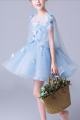 Girls Blue Party Dress With Cascading Flowers - Ref TQ009 - 05